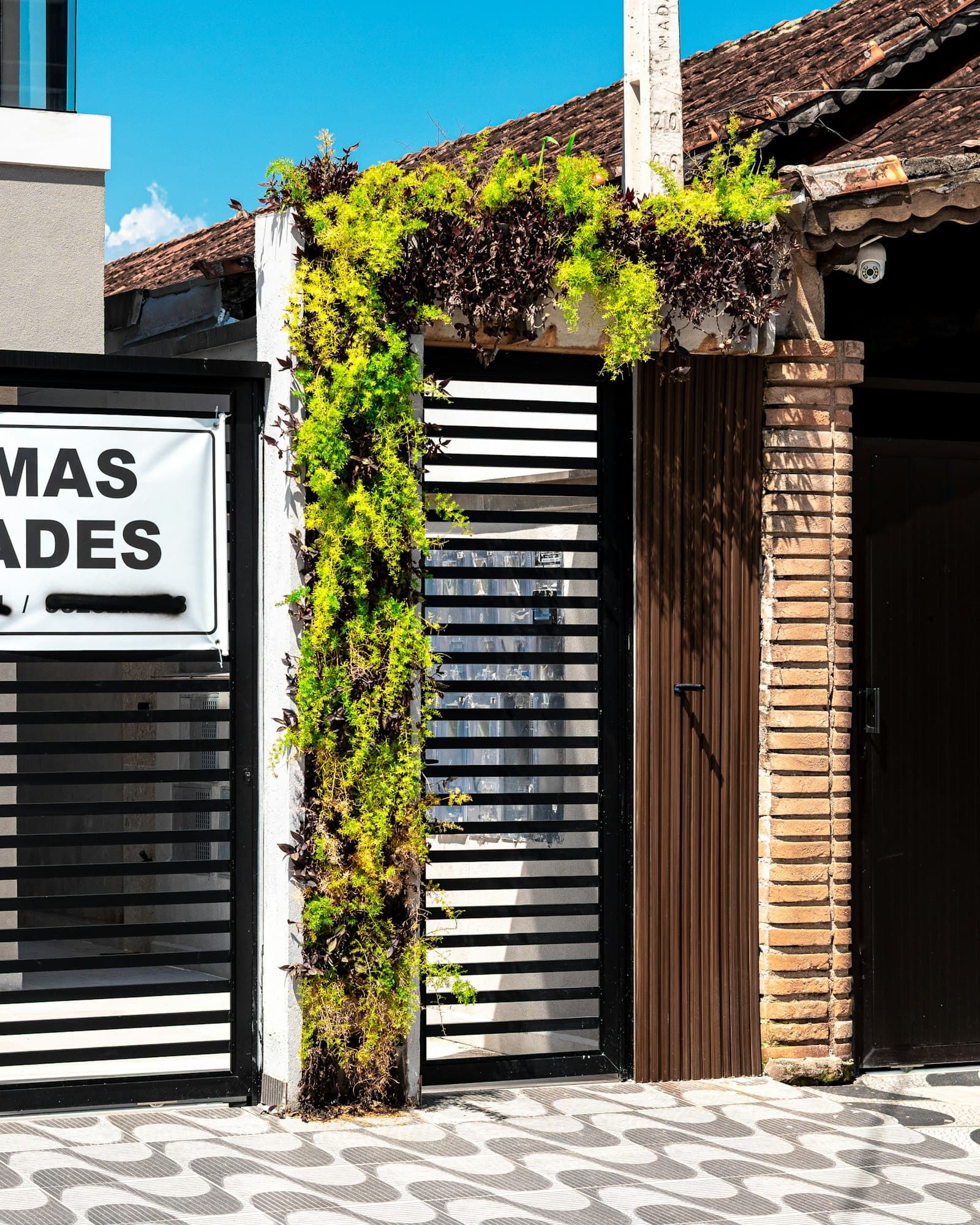 Black slat gate set into a wall of climbing greenery at a modern entrance