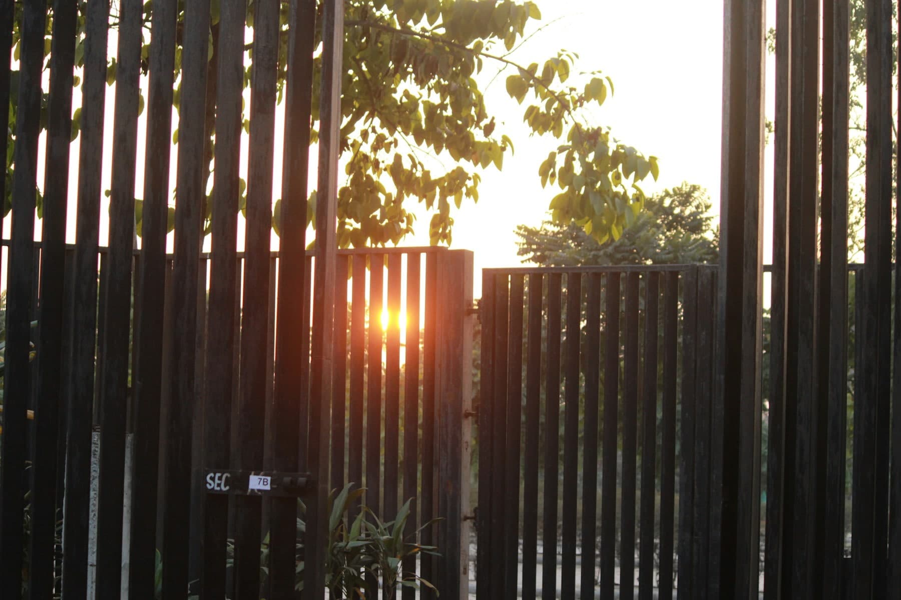 Sun setting through the vertical slats of a dark metal gate